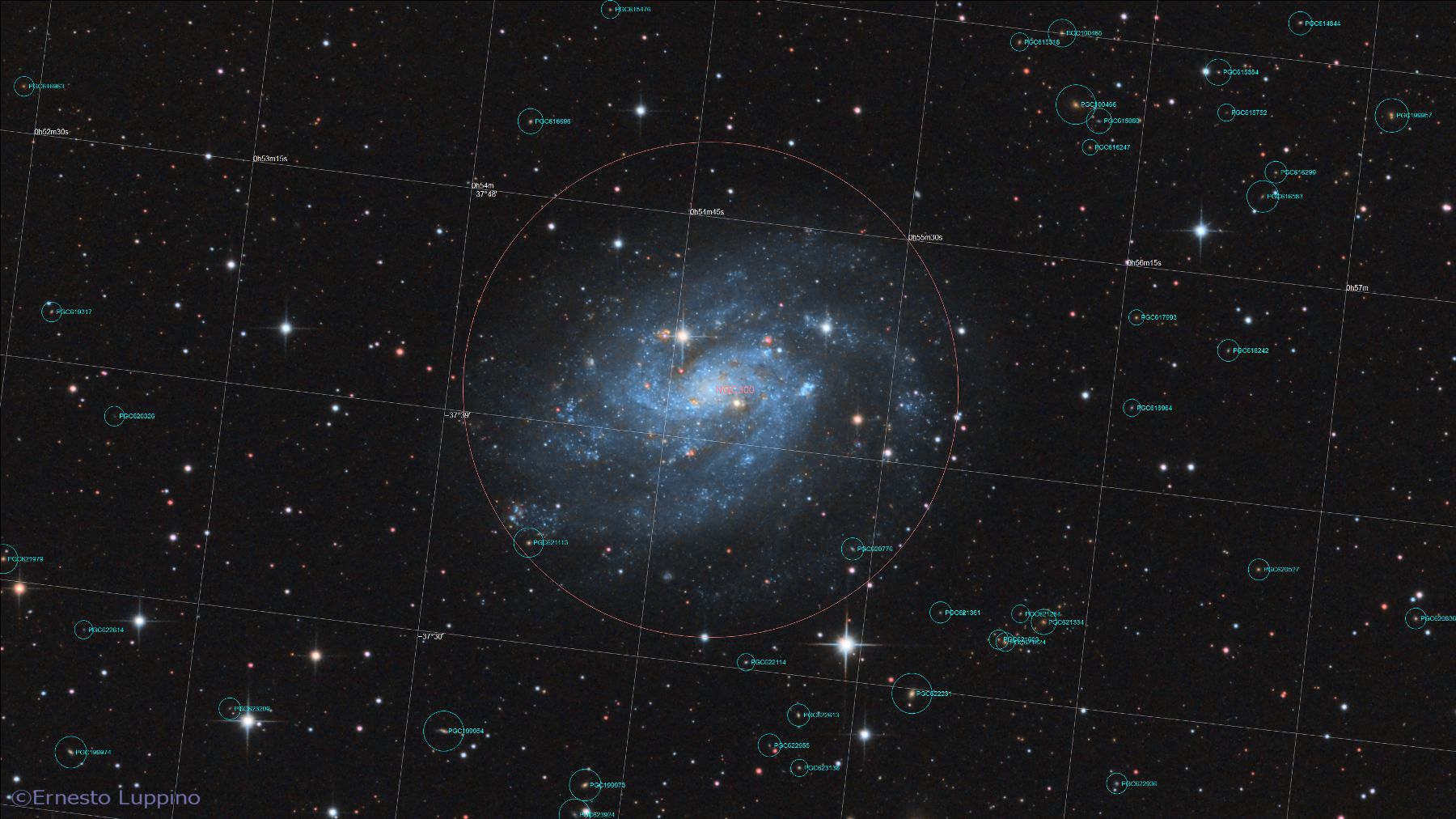 NGC300