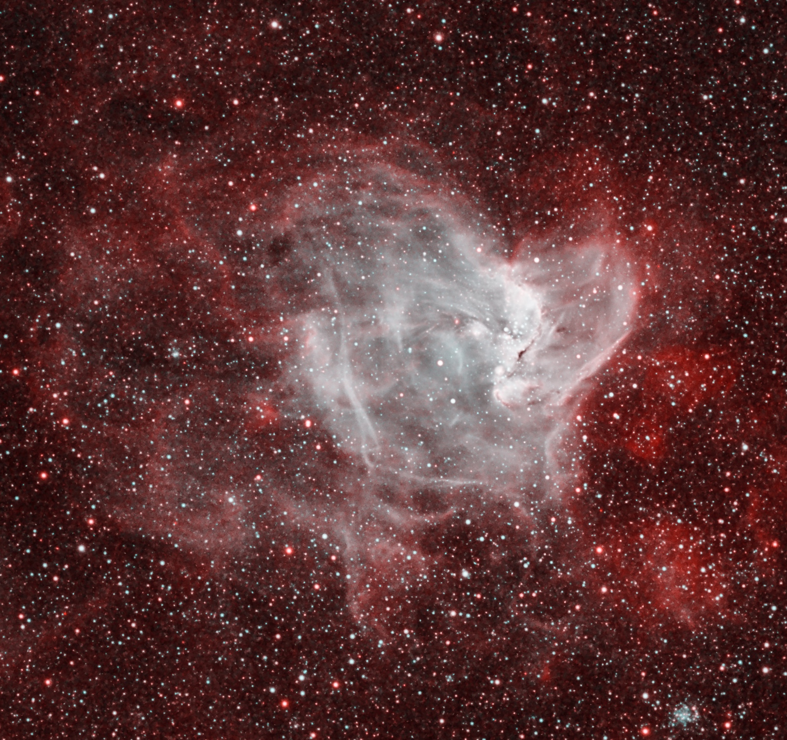 フォトニックフラクタル　imagine Luces Lejanas - Astrophotography by Ernesto Luppino